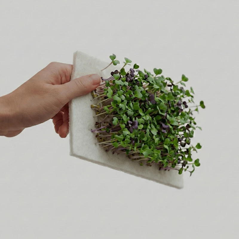 Feed Your Future (IED Barcelona)