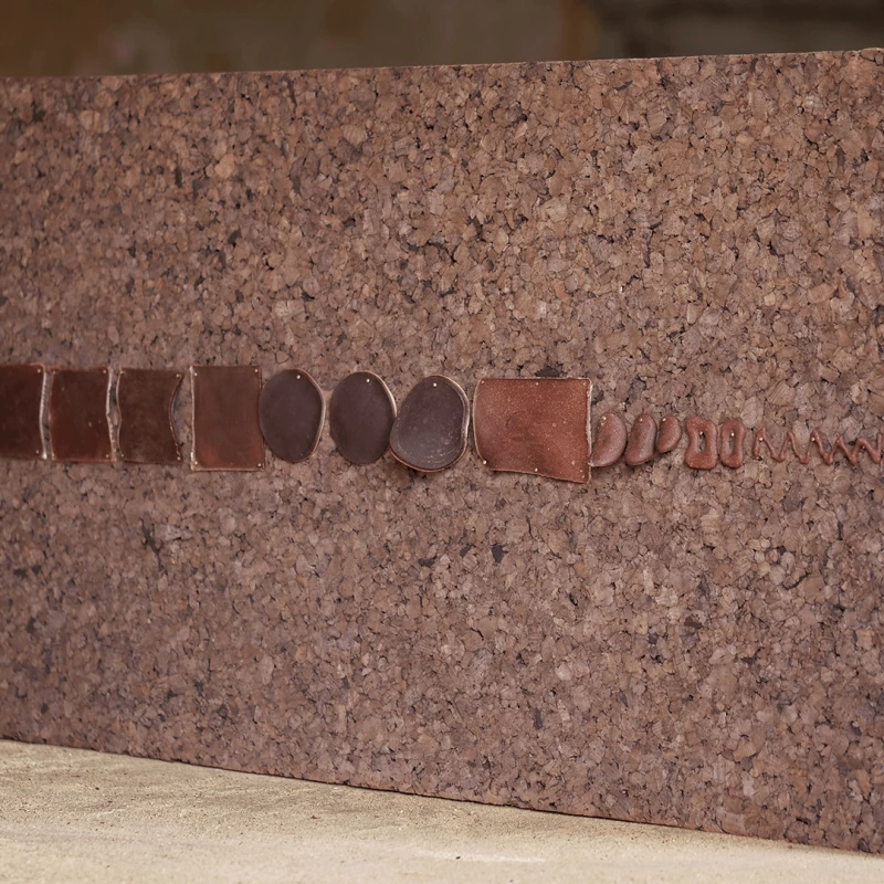 Felipe Shibuya, Tiago Torres-Campos